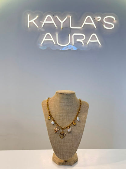 The Coral Reef Chain