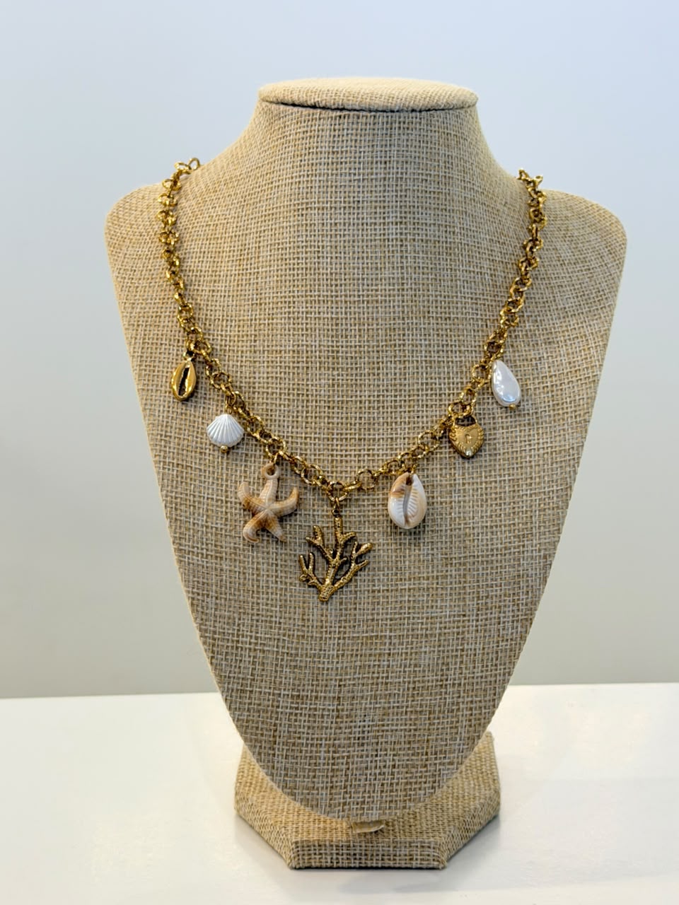 The Coral Reef Chain
